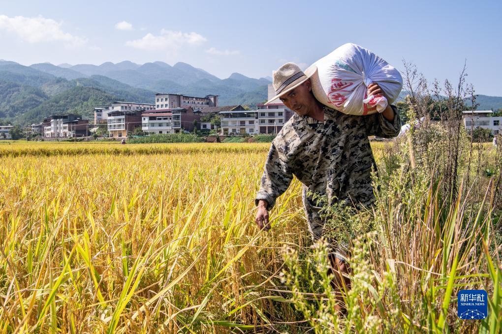 e8平台登录地址